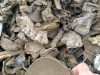 Лом алюминия Шрот (отсев немагнитный, основа - алюминий и его сплавы, засорен песком, землей))